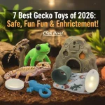 7 Best Gecko Toys of 2026: Safe, Fun & Enrichment!