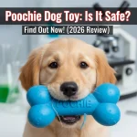 Poochie Dog Toy: Is It Safe? Find Out Now! (2026 Review)